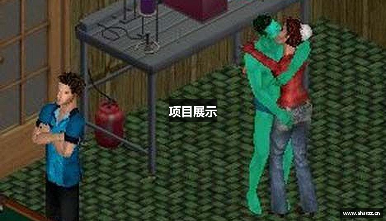 项目展示